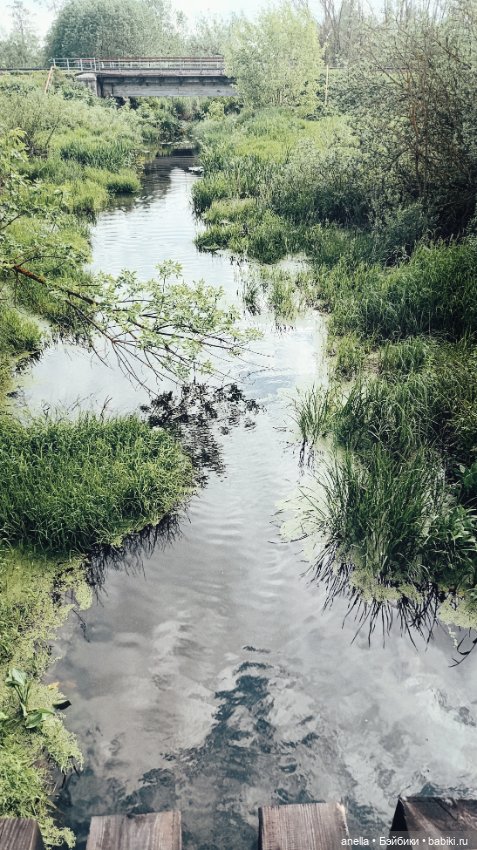 Дик. Железная дорога — Экшн