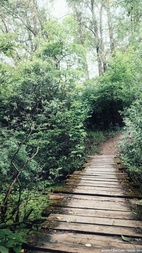 Дик. Железная дорога — Экшн