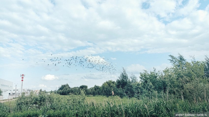 Дик. Железная дорога — Экшн