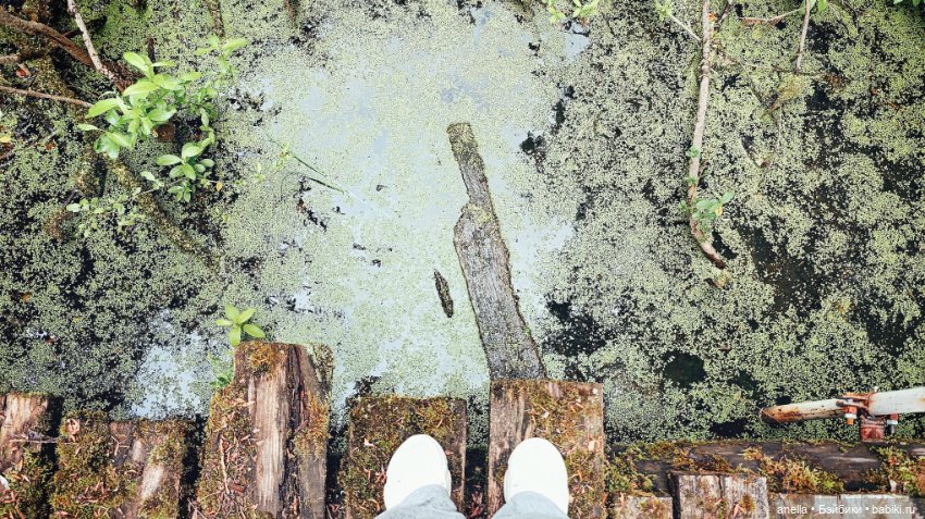 Дик. Железная дорога — Экшн (фото 3)