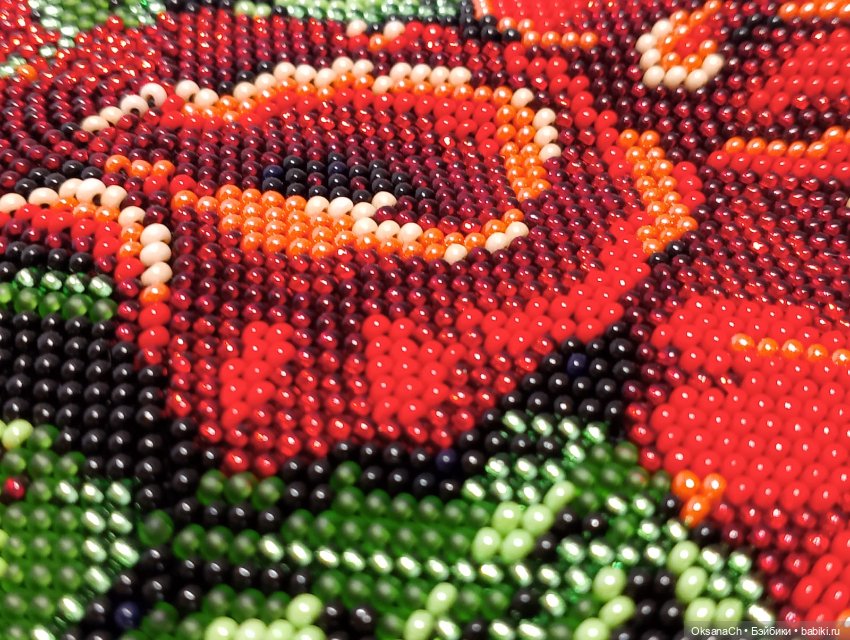 Другие хобби и увлечения: сад (фото 5)