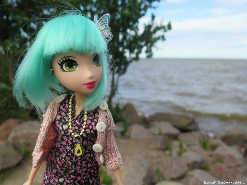 Джой Ле Фрог Regal Academy и компания у северного моря