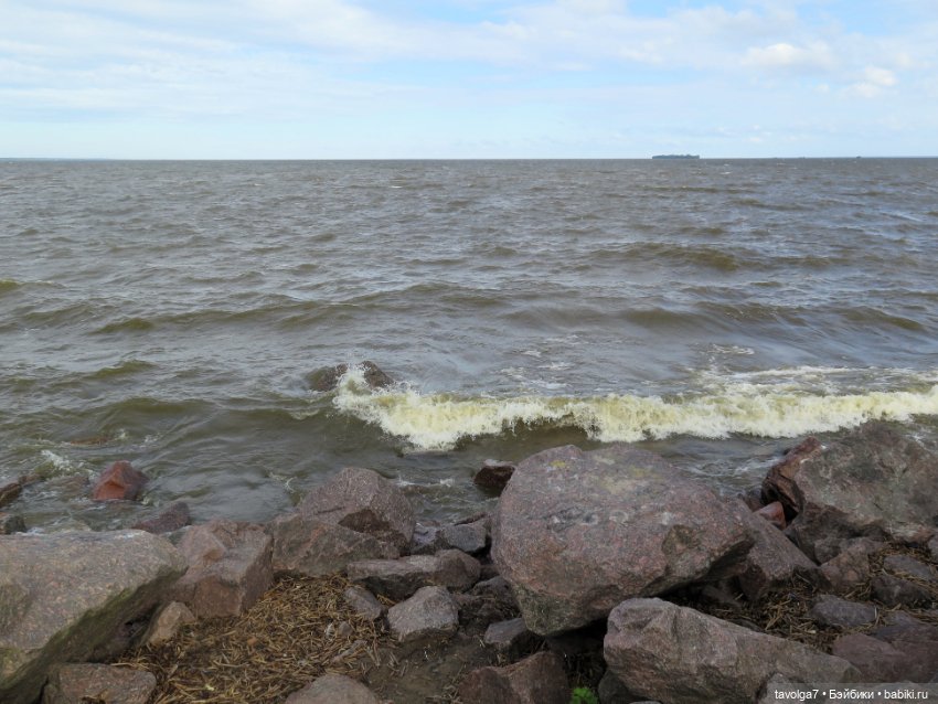 Джой Ле Фрог Regal Academy и компания у северного моря