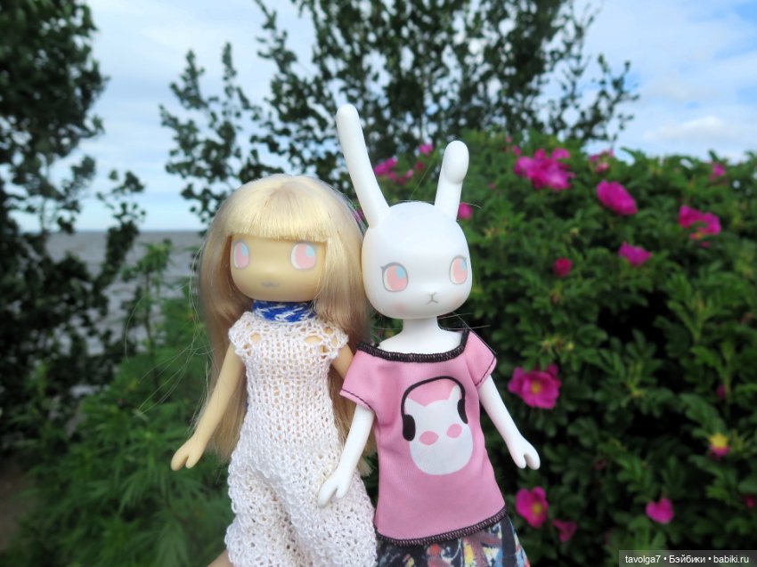 Джой Ле Фрог Regal Academy и компания у северного моря