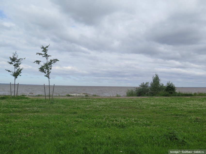 Джой Ле Фрог Regal Academy и компания у северного моря