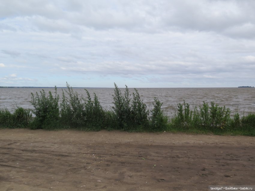 Джой Ле Фрог Regal Academy и компания у северного моря