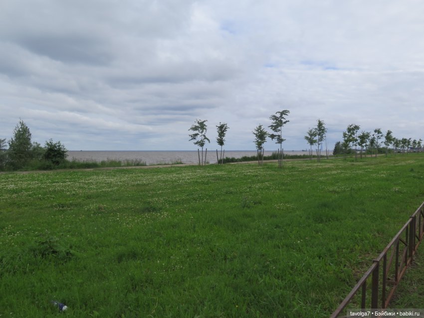 Джой Ле Фрог Regal Academy и компания у северного моря