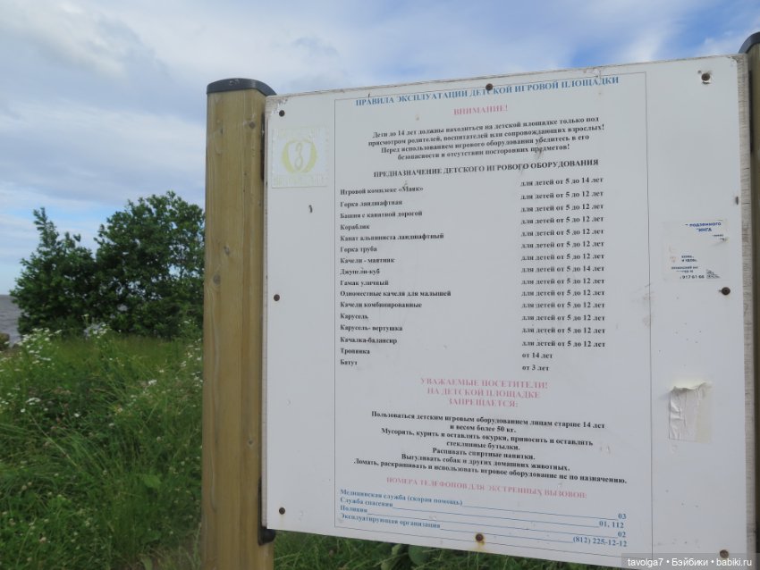 Джой Ле Фрог Regal Academy и компания у северного моря