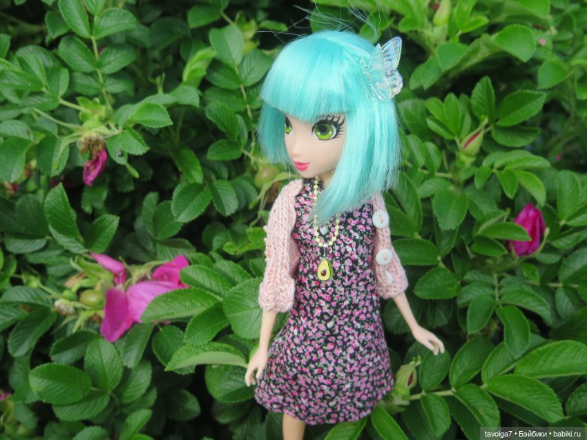 Джой Ле Фрог Regal Academy и компания у северного моря (фото 10)