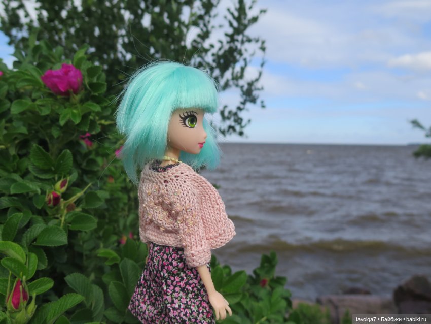 Джой Ле Фрог Regal Academy и компания у северного моря (фото 7)