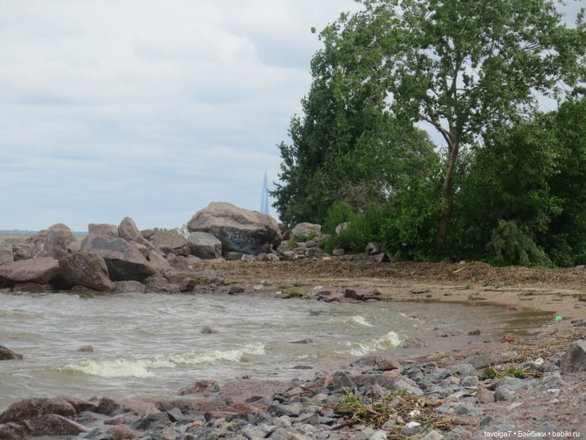 Джой Ле Фрог Regal Academy и компания у северного моря