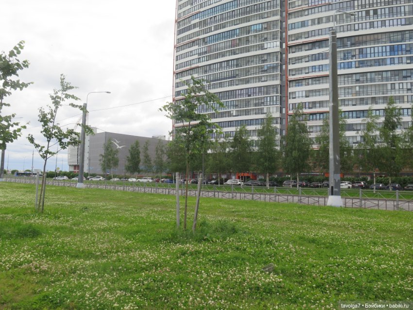 Джой Ле Фрог Regal Academy и компания у северного моря