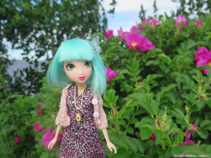 Джой Ле Фрог Regal Academy и компания у северного моря (фото 6)