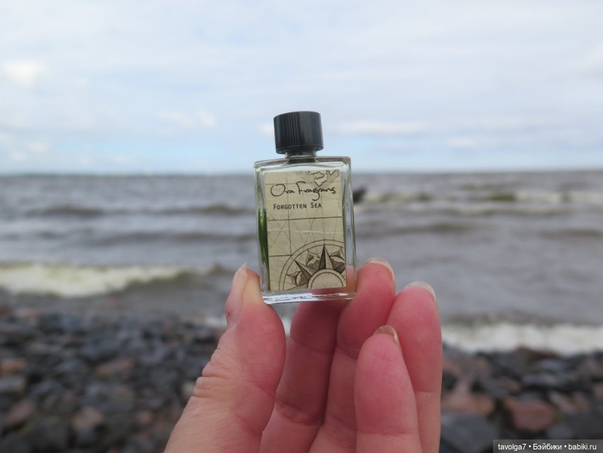 Джой Ле Фрог Regal Academy и компания у северного моря