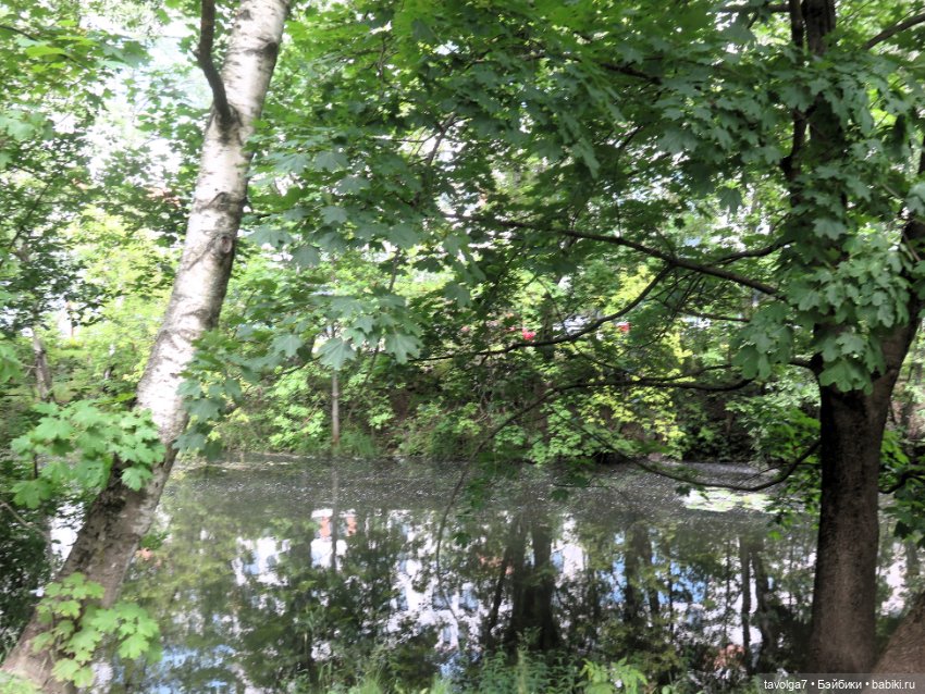 Попробовала новый отель в Питере (фото 8)