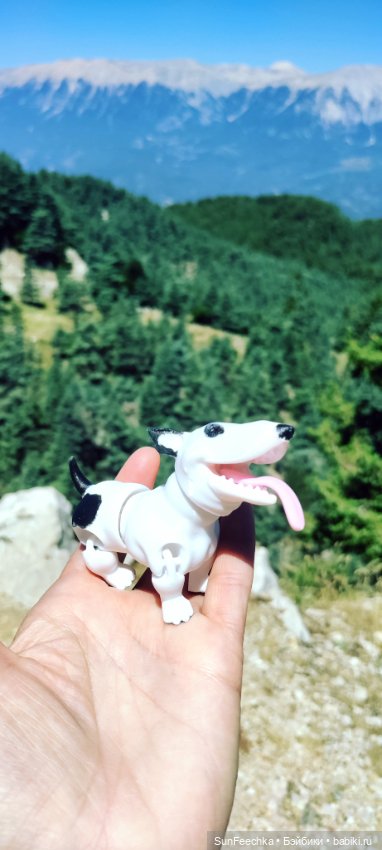 Кеп в отпуске, в Турции — Экшн (фото 4)