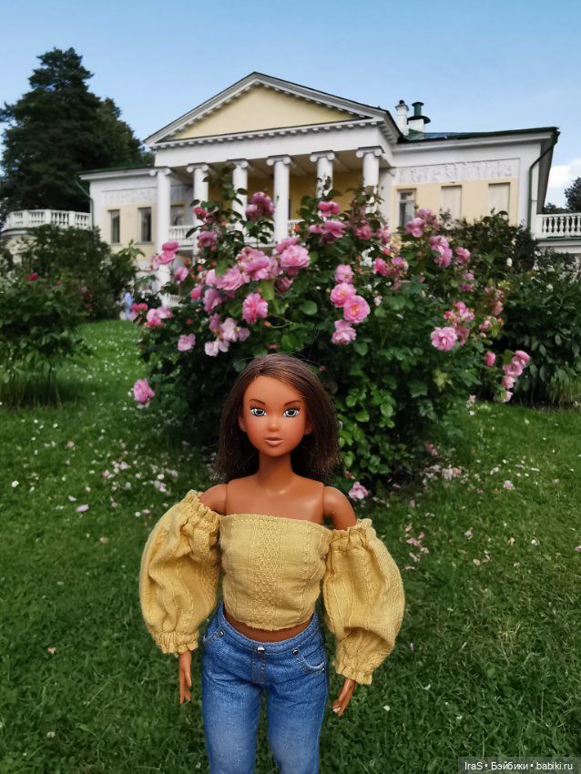 Момошки — Куклы Momoko и Ruruko (Petworks