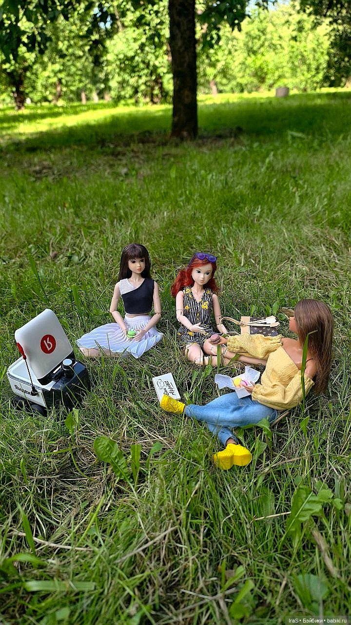 Момошки — Куклы Momoko и Ruruko (Petworks