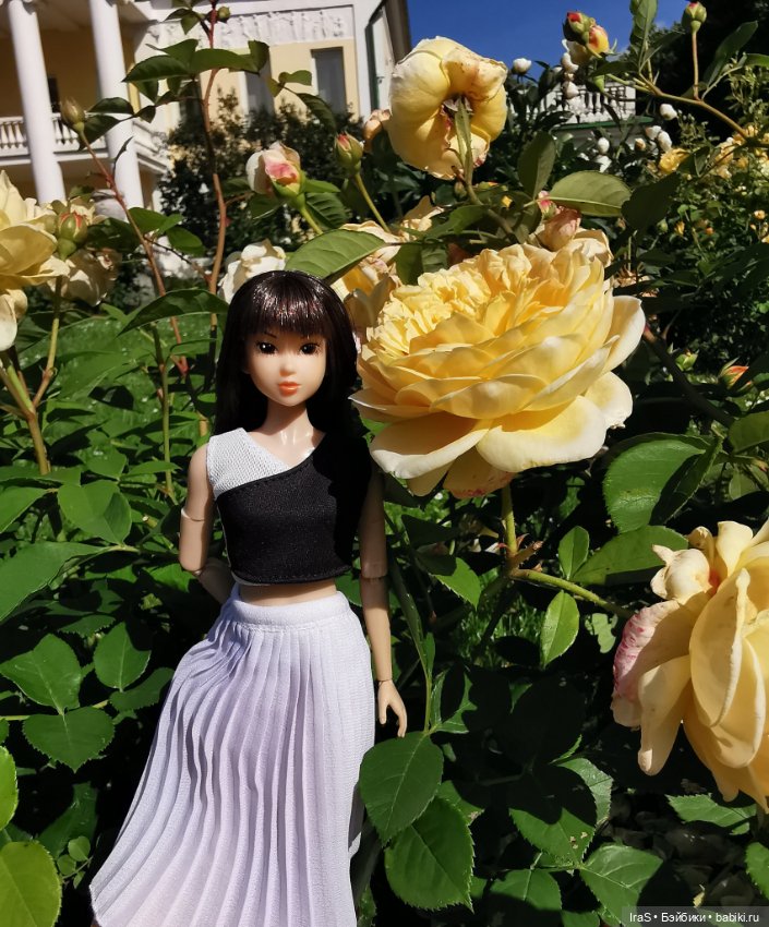 Момошки — Куклы Momoko и Ruruko (Petworks (фото 4)