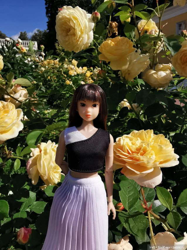 Момошки — Куклы Momoko и Ruruko (Petworks (фото 3)