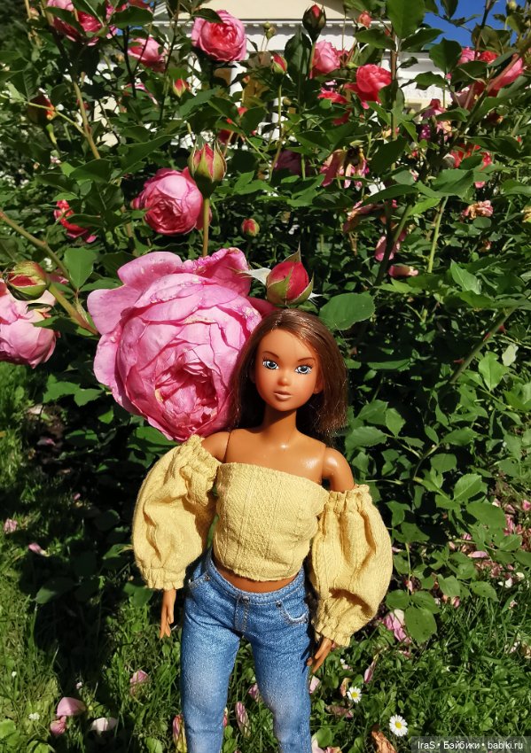 Момошки — Куклы Momoko и Ruruko (Petworks (фото 2)