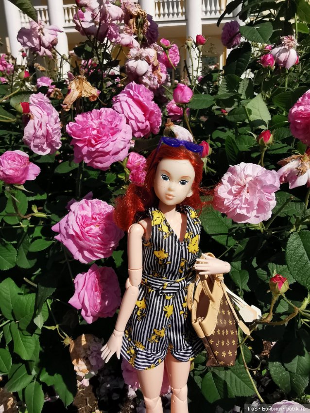 Момошки — Куклы Momoko и Ruruko (Petworks (фото 5)