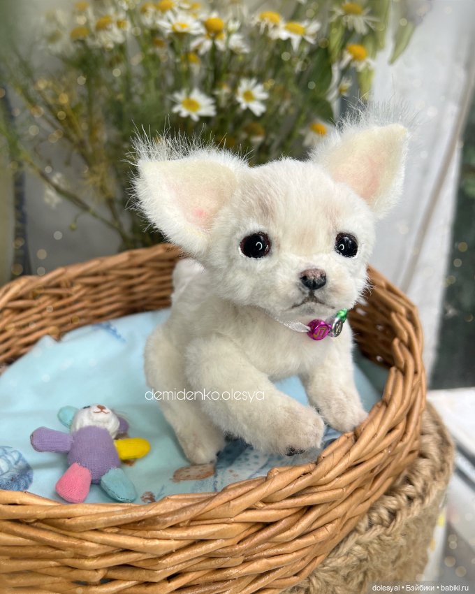 Щенок чихуахуа Лия 💖 — Игрушки в смешанной технике (мех и глина): Арт (фото 4)