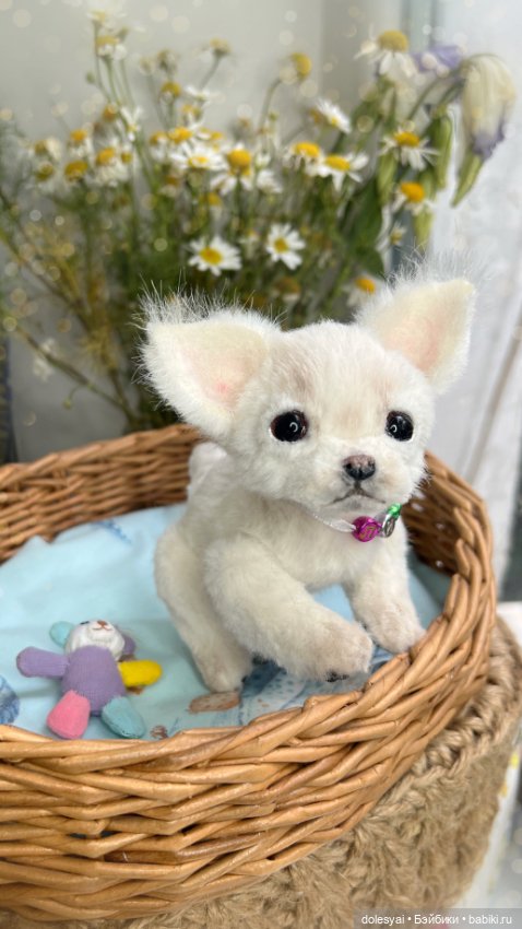 Щенок чихуахуа Лия 💖 — Игрушки в смешанной технике (мех и глина): Арт (фото 3)