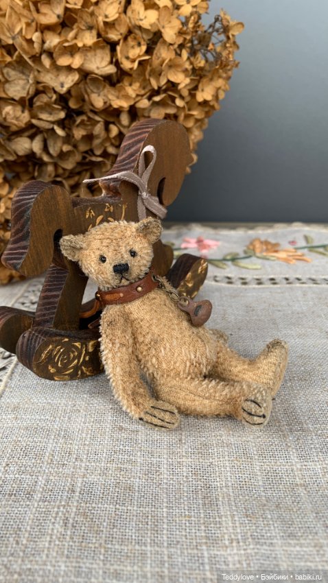 Маленькие мишки с большим сердцем (фото 4)