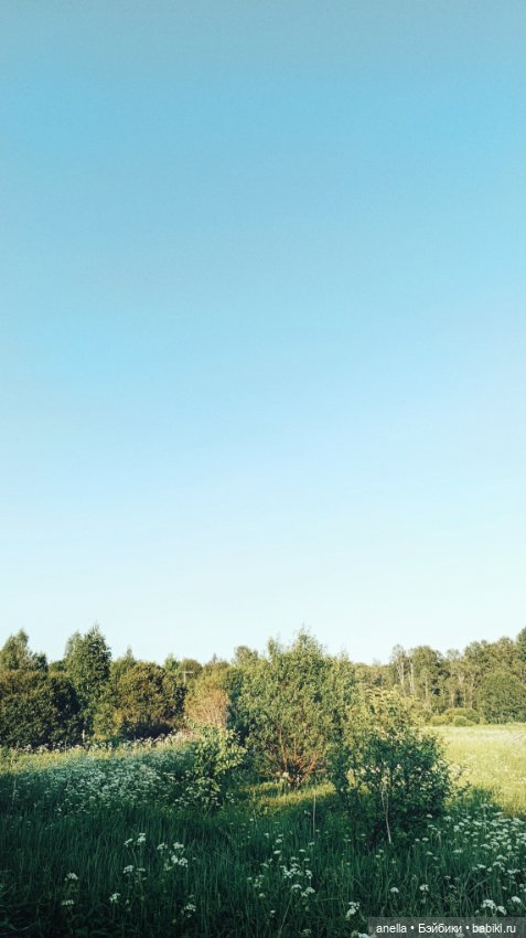 Дик. Лето — Экшн (фото 7)