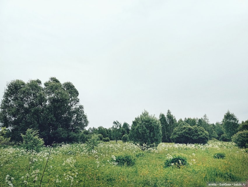 Дик. Лето — Экшн