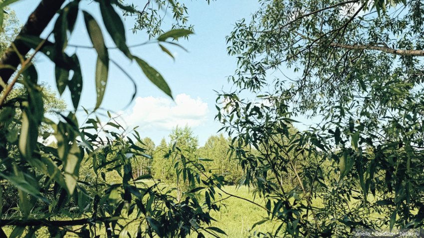 Дик. Лето — Экшн