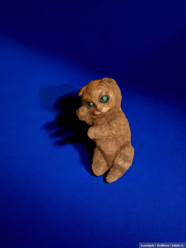 Безымянный котик желает познакомиться ☺️ (фото 5)