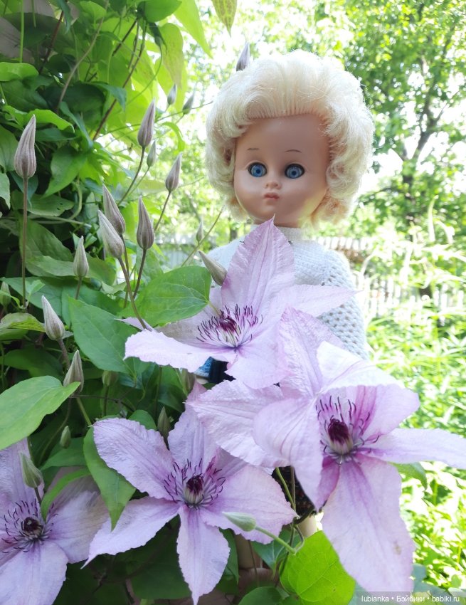 Моя дачница Сонни-шестидесятница💙🦋