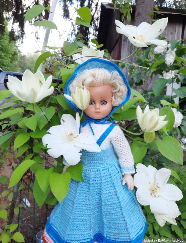 Моя дачница Сонни-шестидесятница💙🦋 (фото 5)