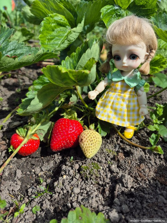 Как мы солнышко ловили — Куклы с Алиэкспресс (Aliexpress): Китайские шарнирные (фото 2)