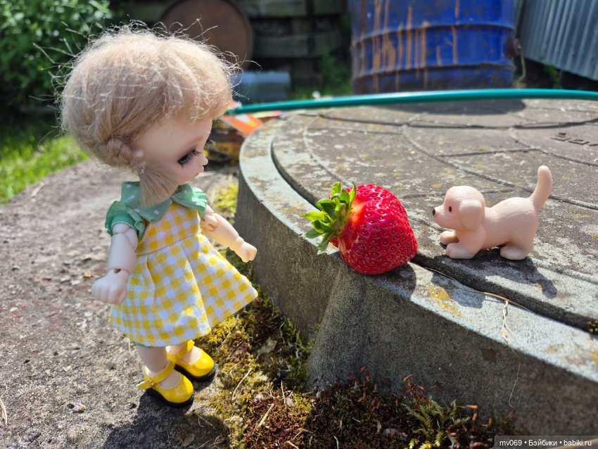 Как мы солнышко ловили — Куклы с Алиэкспресс (Aliexpress): Китайские шарнирные (фото 3)