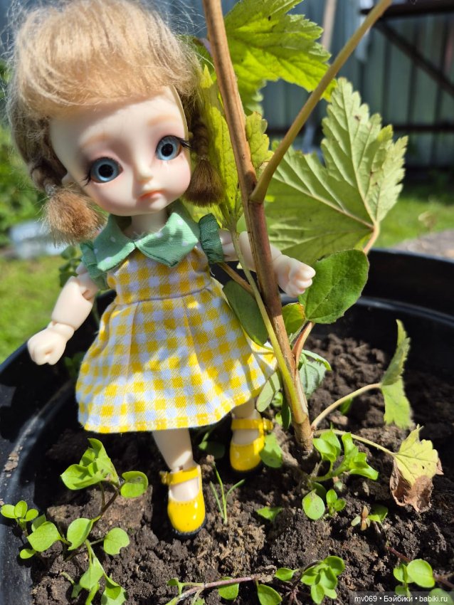 Как мы солнышко ловили — Куклы с Алиэкспресс (Aliexpress): Китайские шарнирные (фото 4)