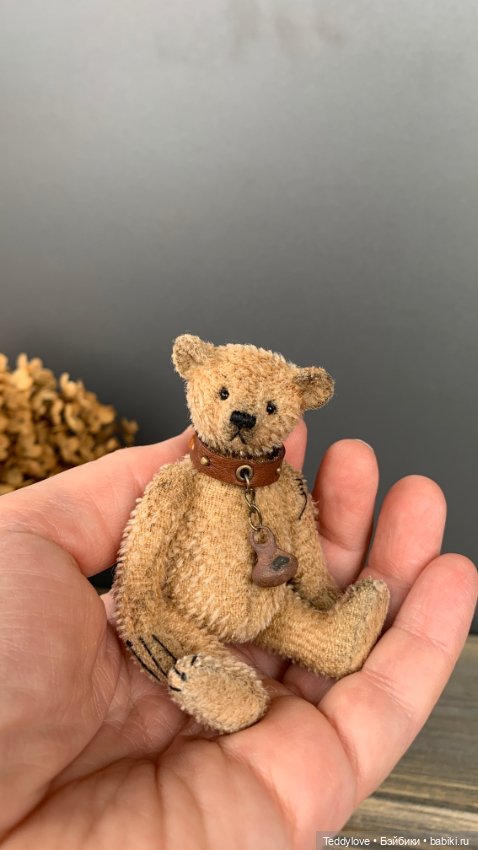 Маленькие мишки с большим сердцем (фото 6)