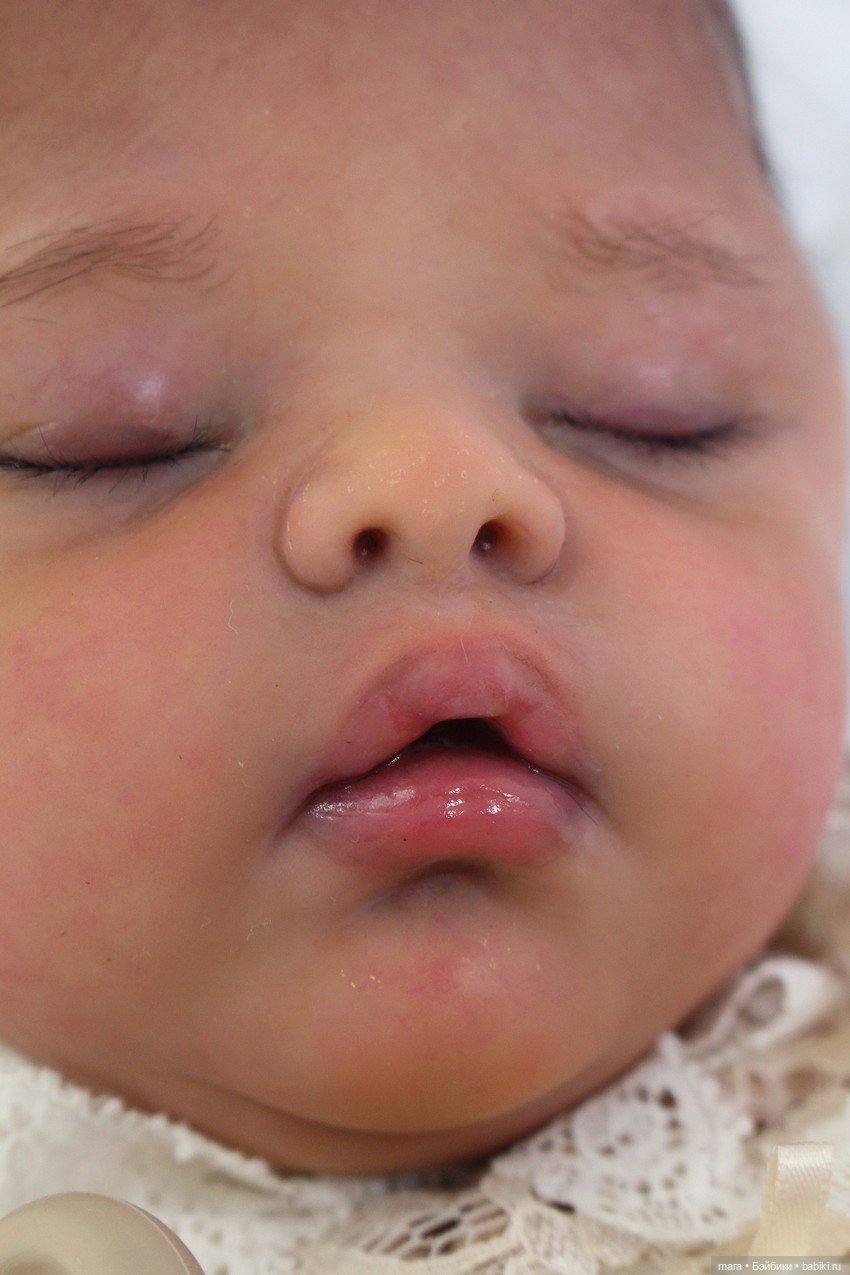 Little Bear скульптора Beatriz Clemente, автор прототипа Angela Plicka