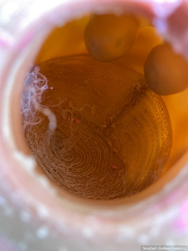 Новая жизнь Солнышку от Zapf Creation