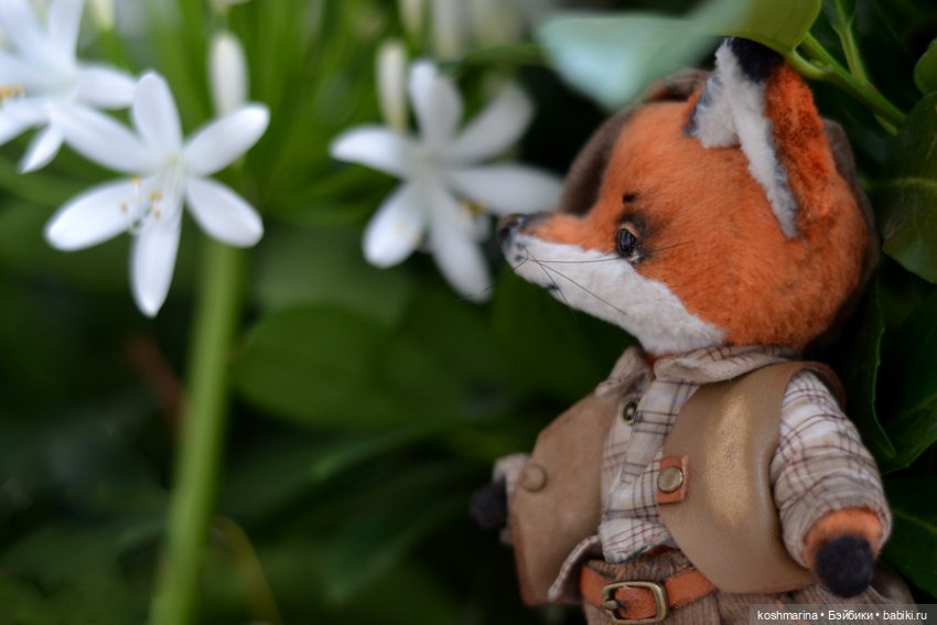 Как я с выставки "Розы-березы" домой лиса вела (фото 6)