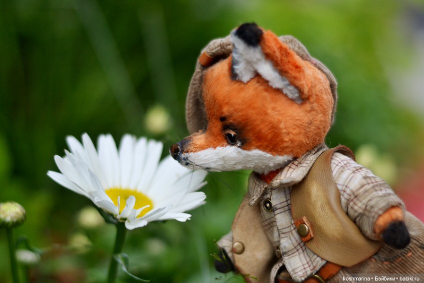 Как я с выставки "Розы-березы" домой лиса вела (фото 7)