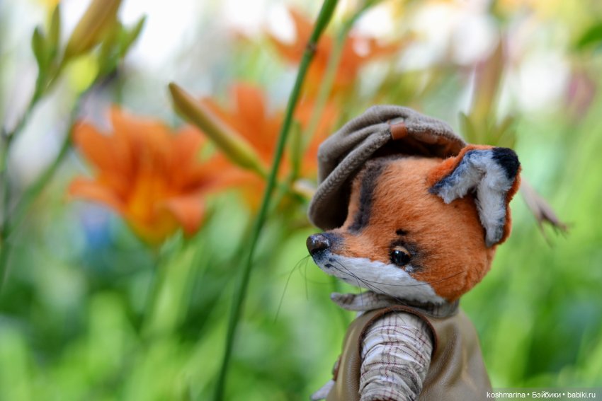 Как я с выставки "Розы-березы" домой лиса вела