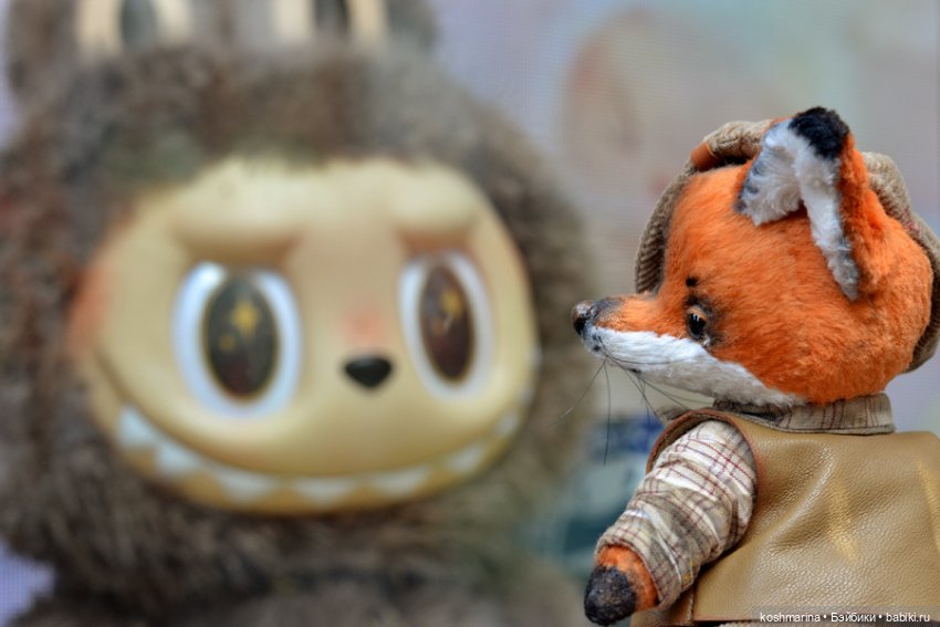 Как я с выставки "Розы-березы" домой лиса вела