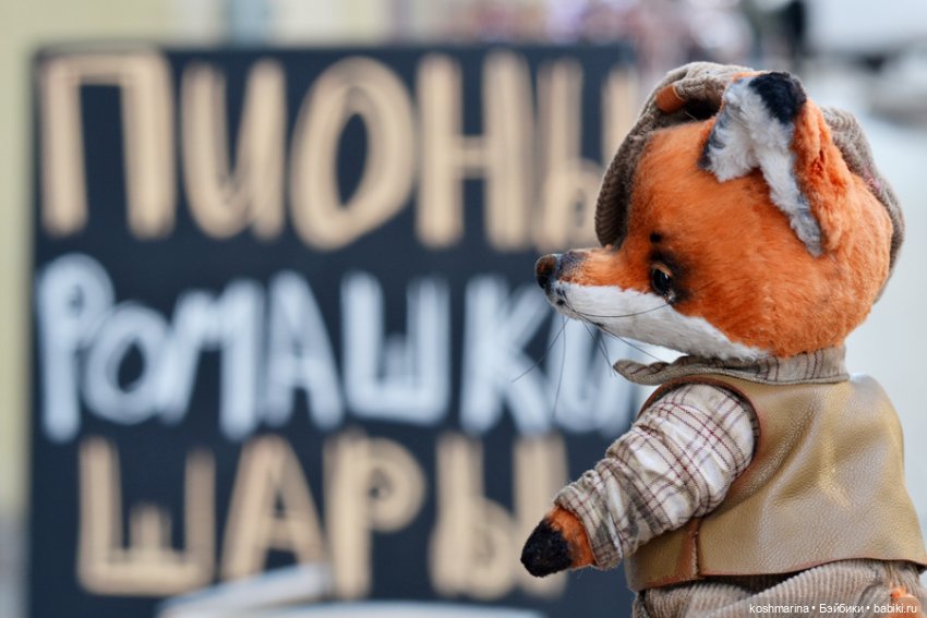 Как я с выставки "Розы-березы" домой лиса вела