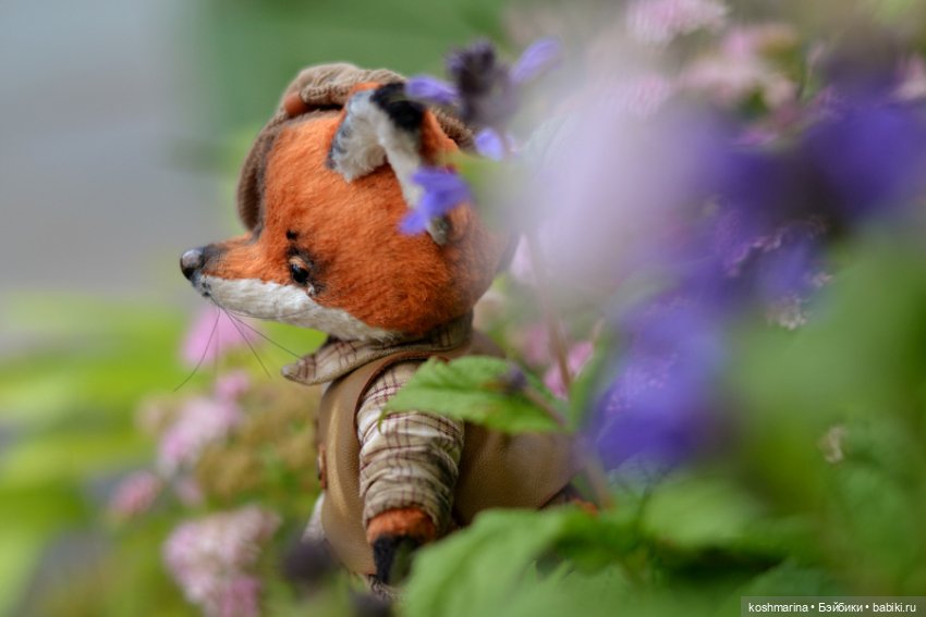 Как я с выставки "Розы-березы" домой лиса вела