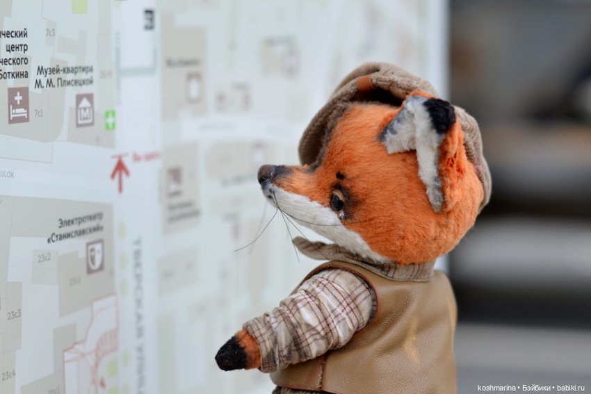 Как я с выставки "Розы-березы" домой лиса вела