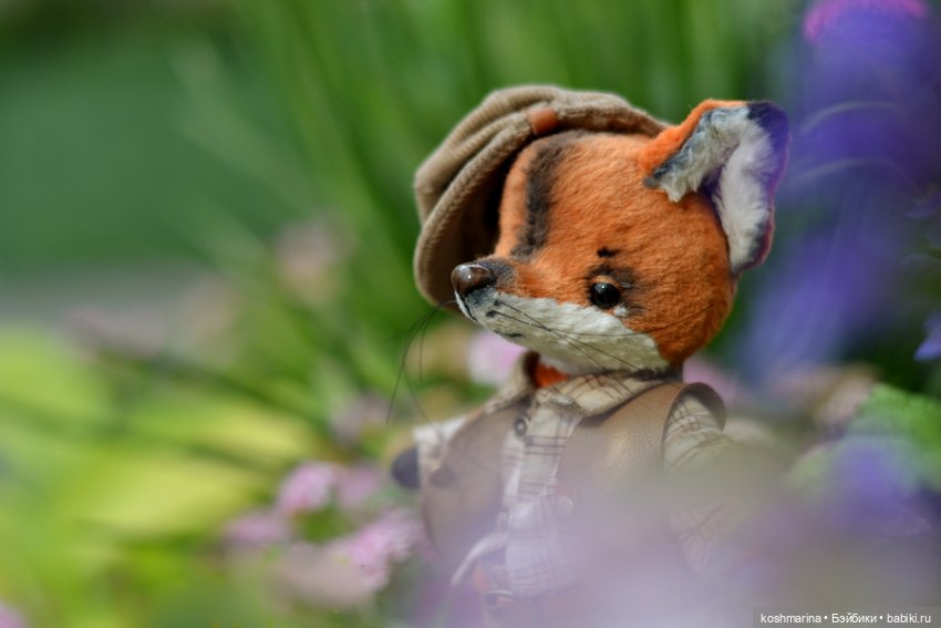 Как я с выставки "Розы-березы" домой лиса вела