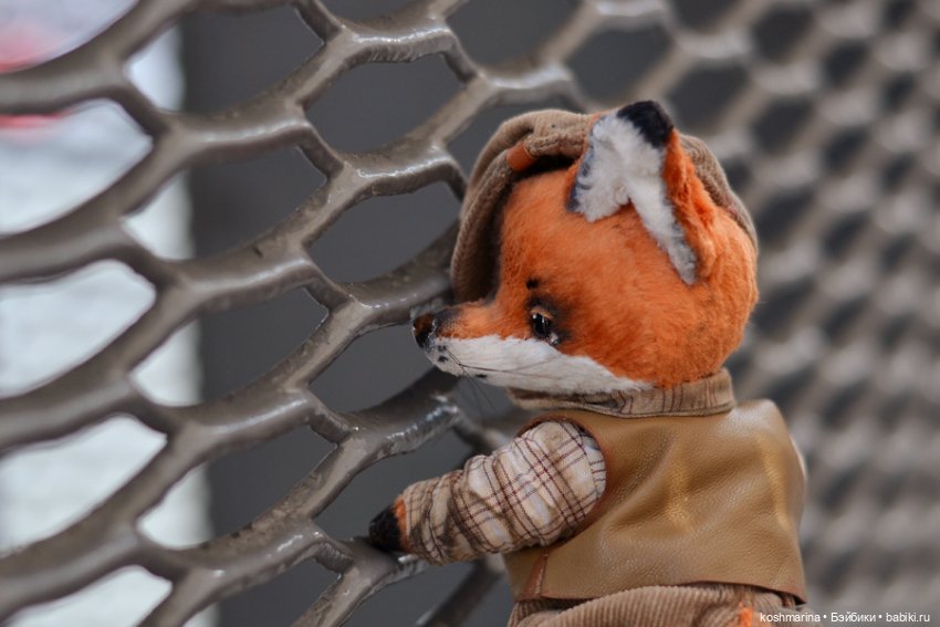 Как я с выставки "Розы-березы" домой лиса вела